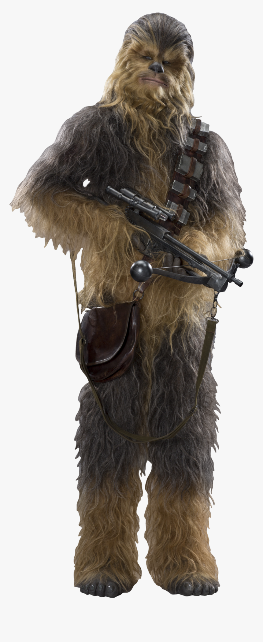 Chewbacca Star Wars Ep7 The Force Awakens Characters Transparent Star
