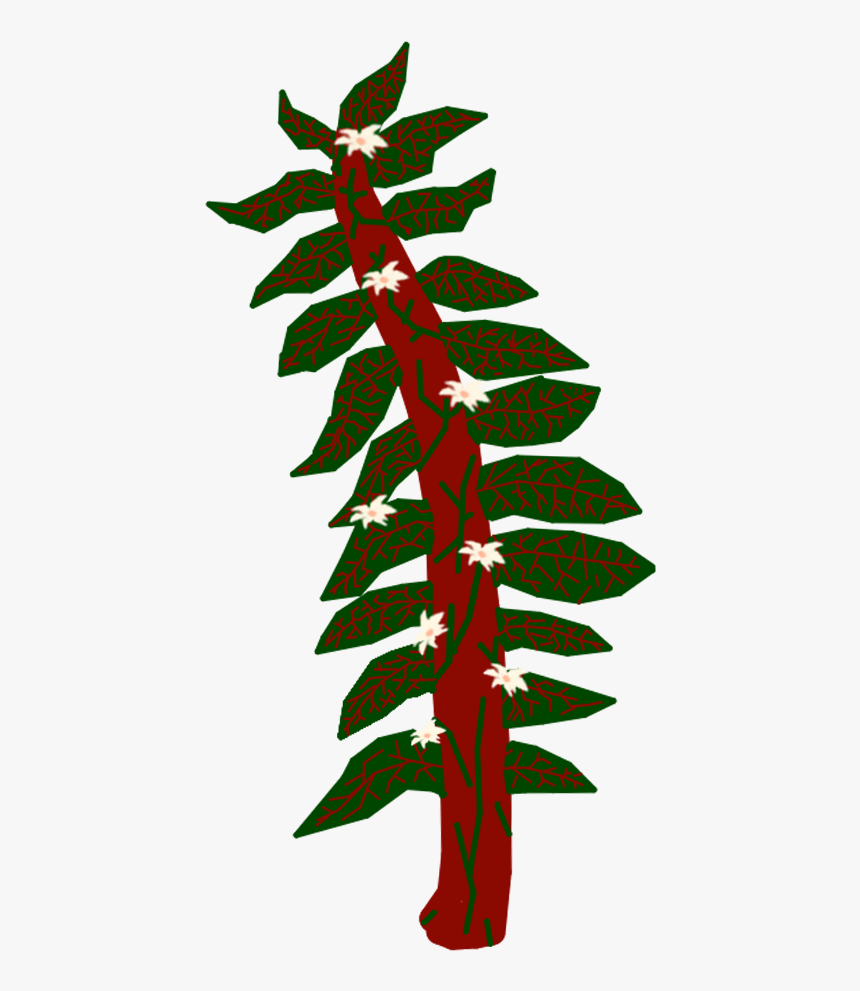 Wings Of Fire Wiki, HD Png Download