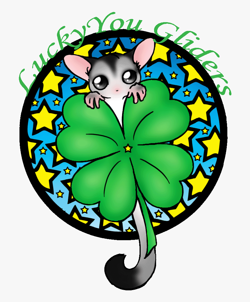 Sugar Glider Clipart Beautiful, HD Png Download