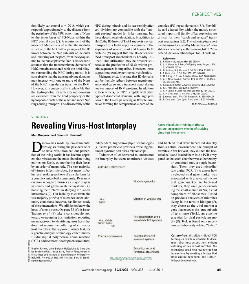 Convite De Jornal, HD Png Download