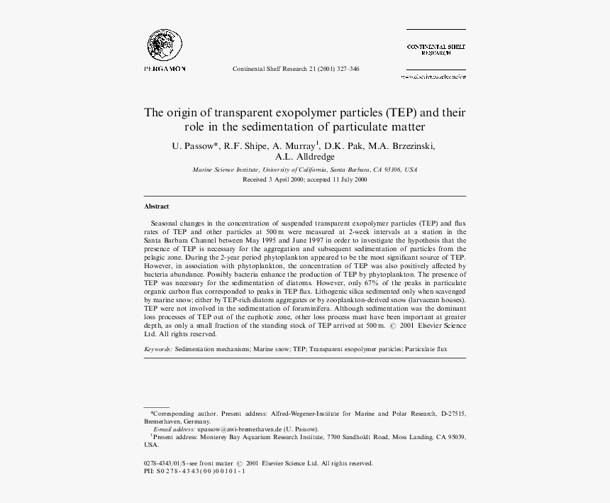 Document, HD Png Download