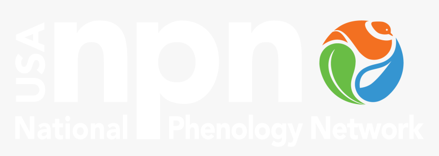 Poster, HD Png Download