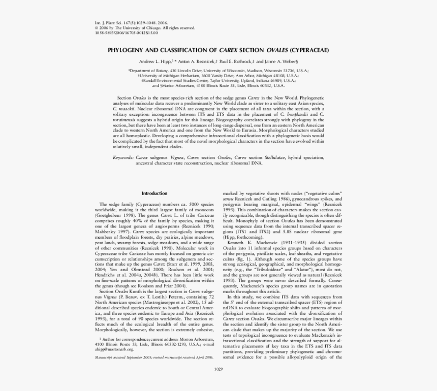 Discovery Of Achilles On Skyros, HD Png Download