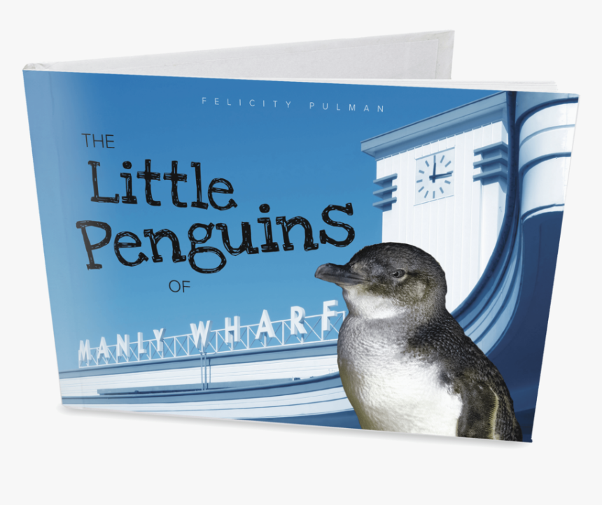 The Little Penguins Of Manly - Little Market, HD Png Download