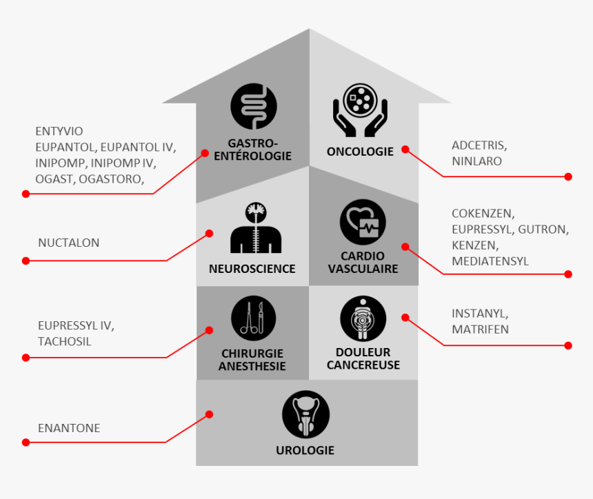 Circle, HD Png Download