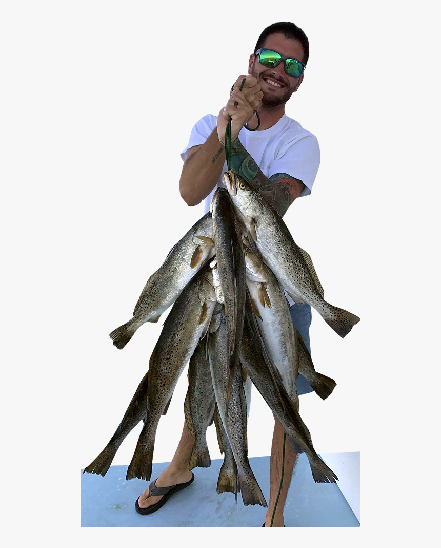 Sauries, HD Png Download