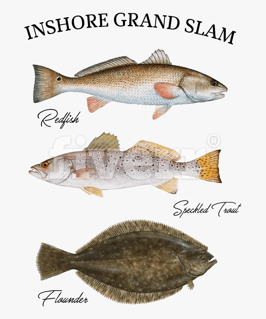 Speckled Trout Pillow Case , Png Download - Trout Redfish And Flounder, Transparent Png