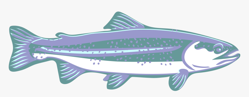Trout Clipart Speckled Trout - Canoe, HD Png Download