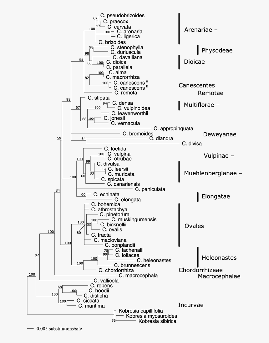 Document, HD Png Download