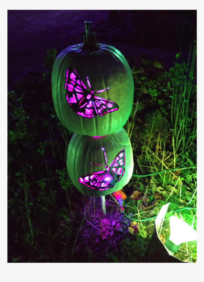 Lantern, HD Png Download