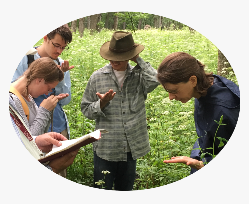 Agriculture, HD Png Download