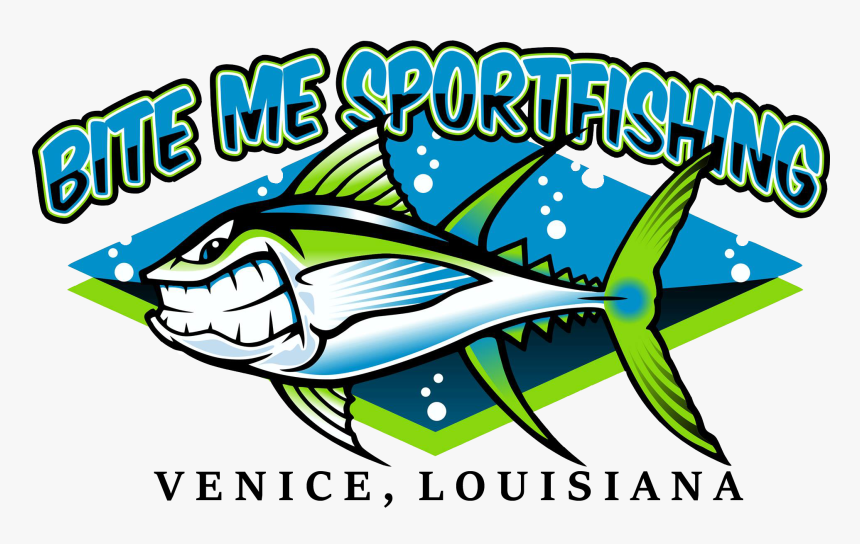 Pomacentridae, HD Png Download