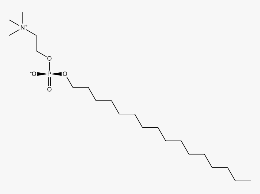 Diagram, HD Png Download