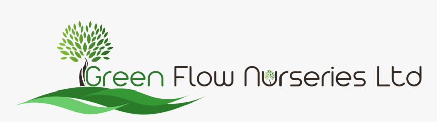 Green Flow Nurseries Ltd - Graphic Design, HD Png Download