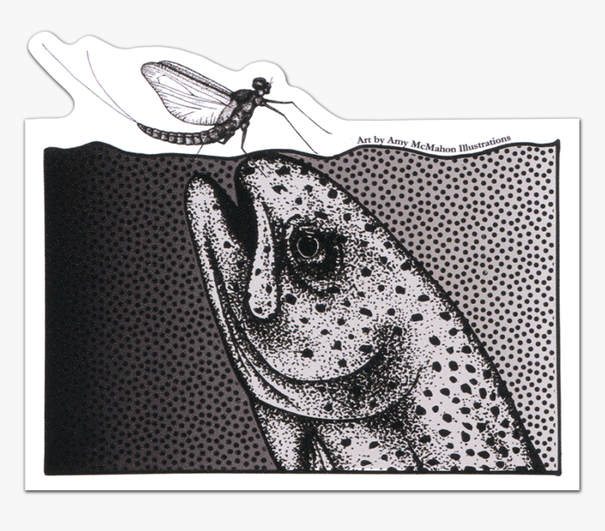 Trout - Illustration, HD Png Download