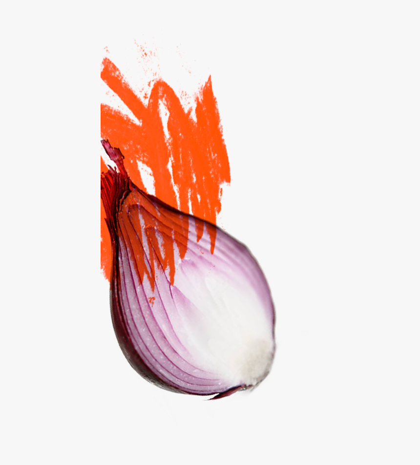 Cinder House Flame One - Red Onion, HD Png Download