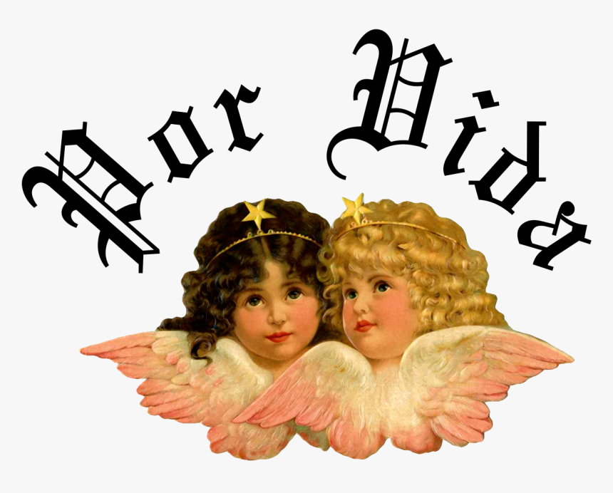 Transparent Cherubs Por Vida Kali Uchis , Png Download - Baby Angel Tshirt, Png Download