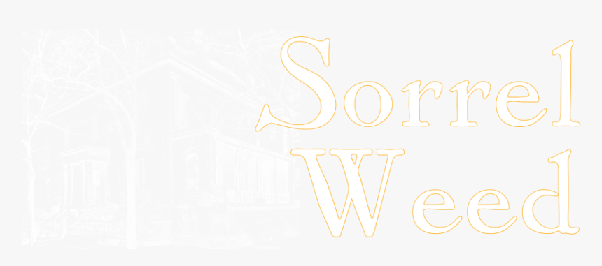 Ghost Tours - Graphic Design, HD Png Download