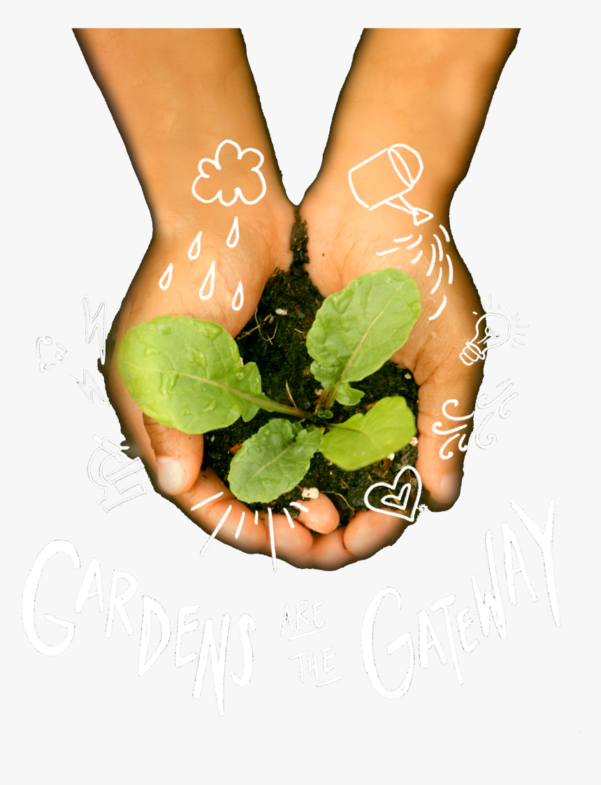 Gala Image - Gardener, HD Png Download