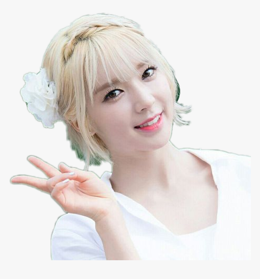Choa Png , Png Download - 朴草娥, Transparent Png