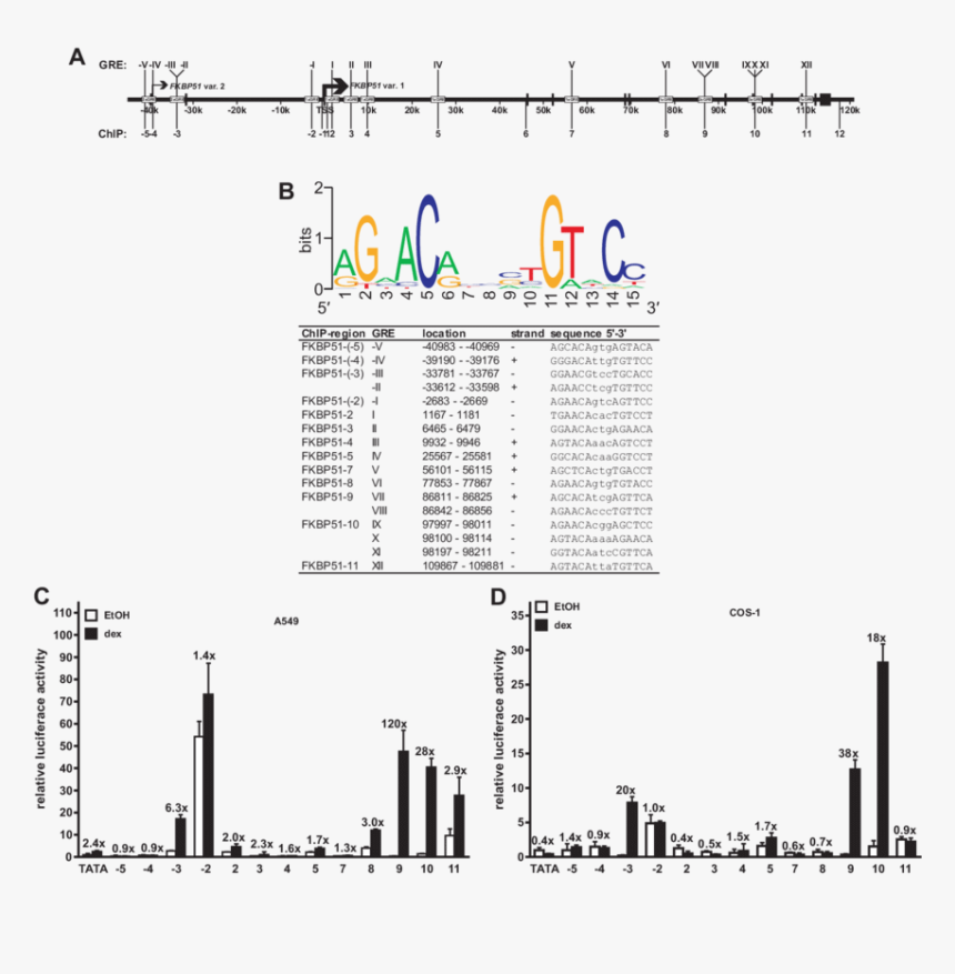 Diagram, HD Png Download