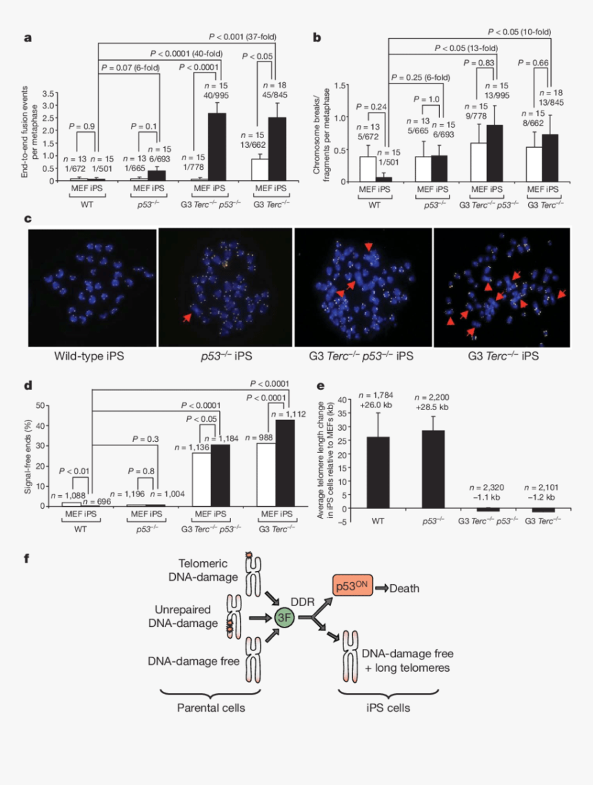 Diagram, HD Png Download