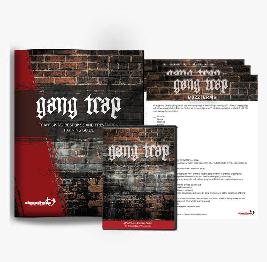 Flyer, HD Png Download