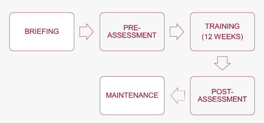 Colorfulness, HD Png Download