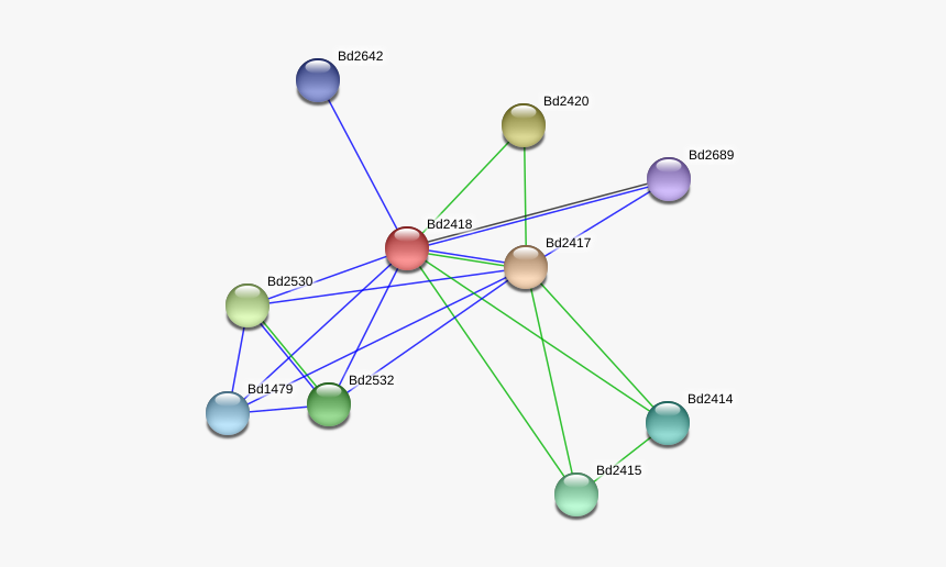 Bd2418 Protein - Circle, HD Png Download