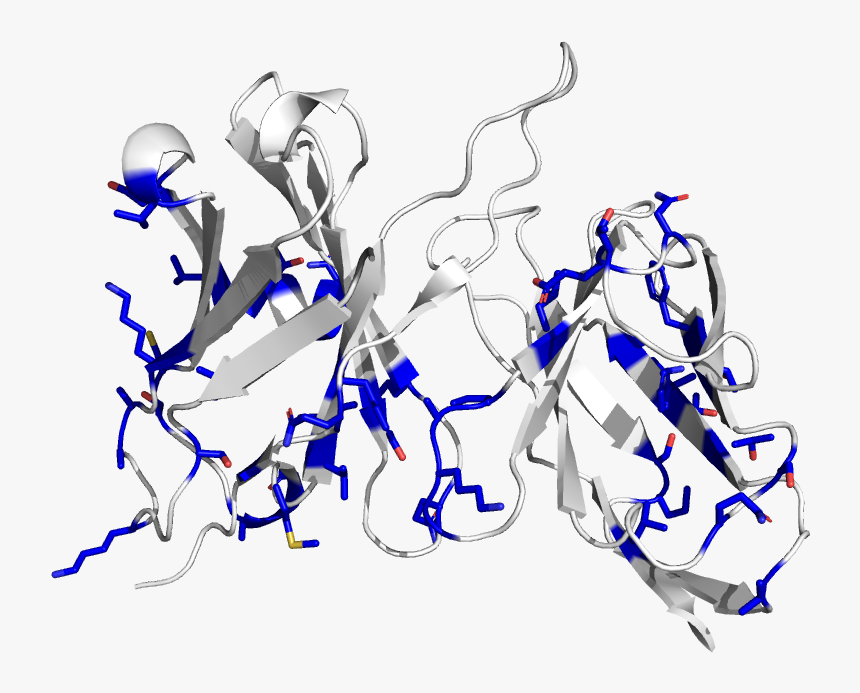 Cdr Mut - Illustration, HD Png Download