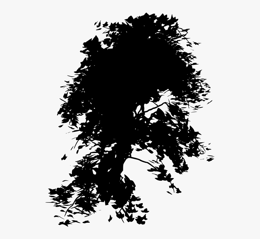 Ivy, HD Png Download