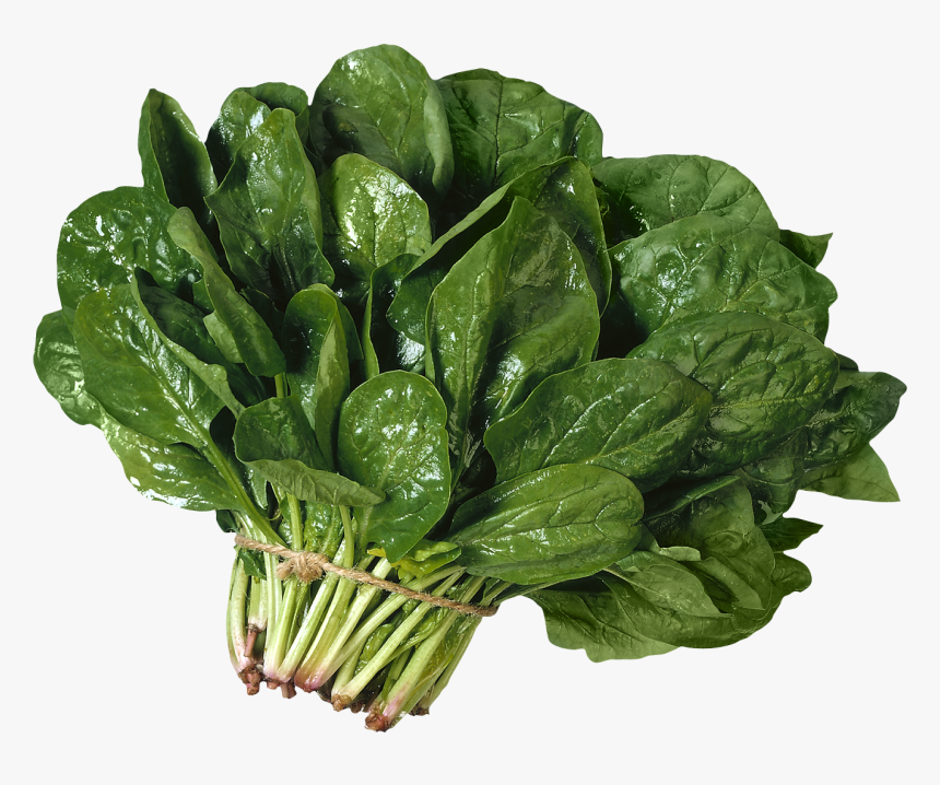 Salad Png Image - Espinaca Png, Transparent Png
