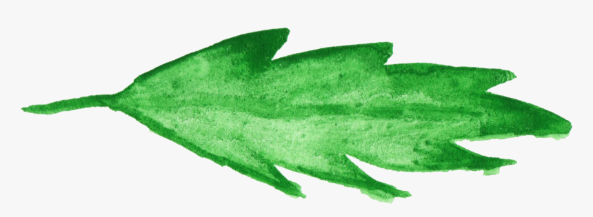 Ivy Texture Png, Transparent Png