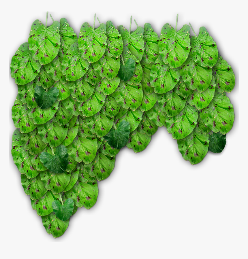 Grass, HD Png Download