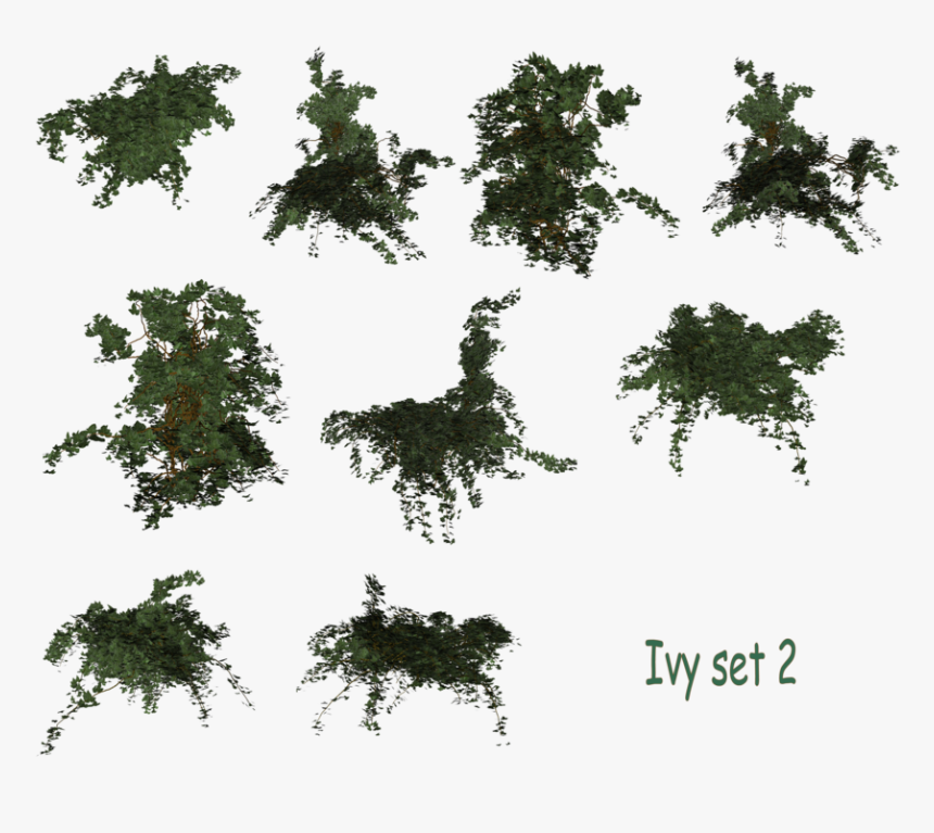 Vine Texture Png Image Freeuse Library - Ivy Set Png, Transparent Png