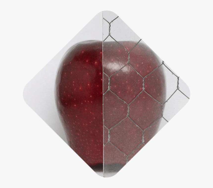 Lampshade, HD Png Download