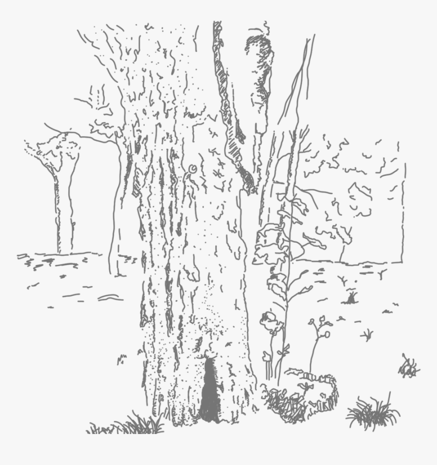 The Moment I Write This Last Number, Black Clouds Roll - Pond Pine, HD Png Download