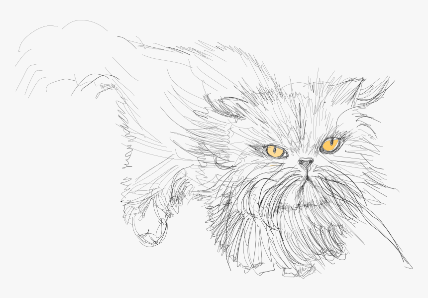 Sketch, HD Png Download
