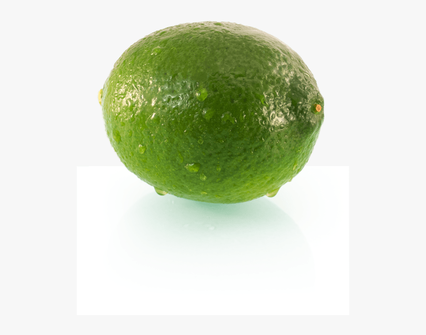 Transparent Limes Png - Persian Lime, Png Download