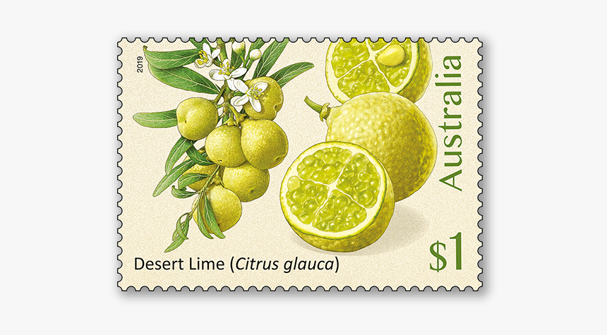 Bush Citrus - Bush Citrus Australian Stamps, HD Png Download