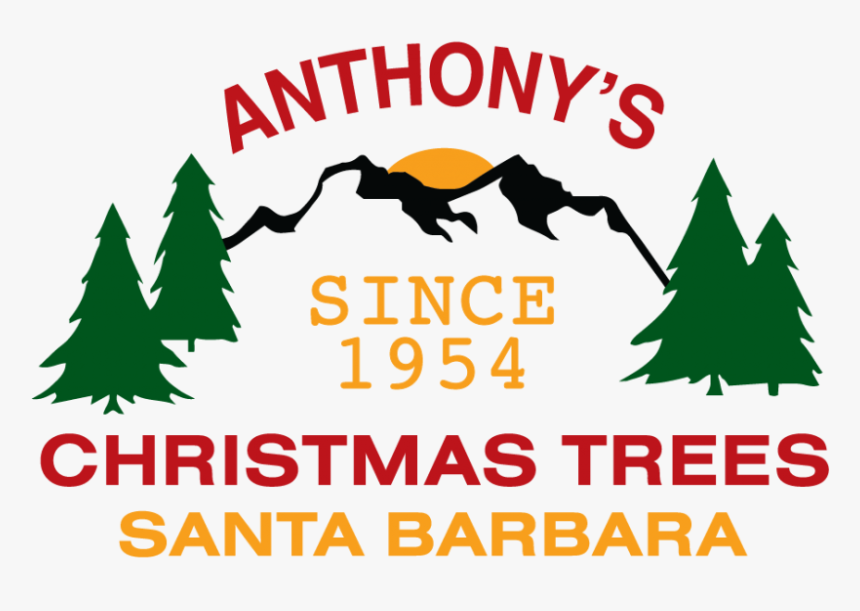 Anthony S Christmas Trees Logo, HD Png Download