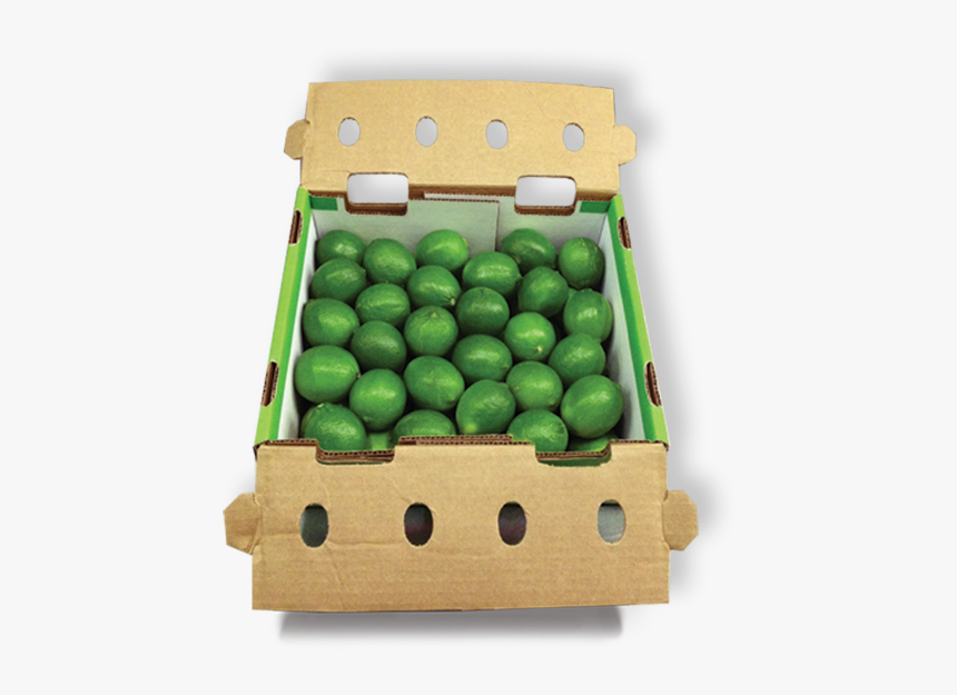 Case Of Limes, HD Png Download
