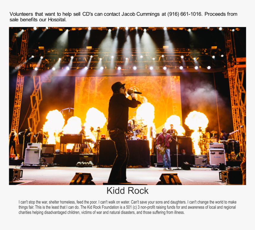 Transparent Concert Png - Rock Concert, Png Download