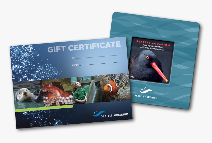 Book Cover, HD Png Download