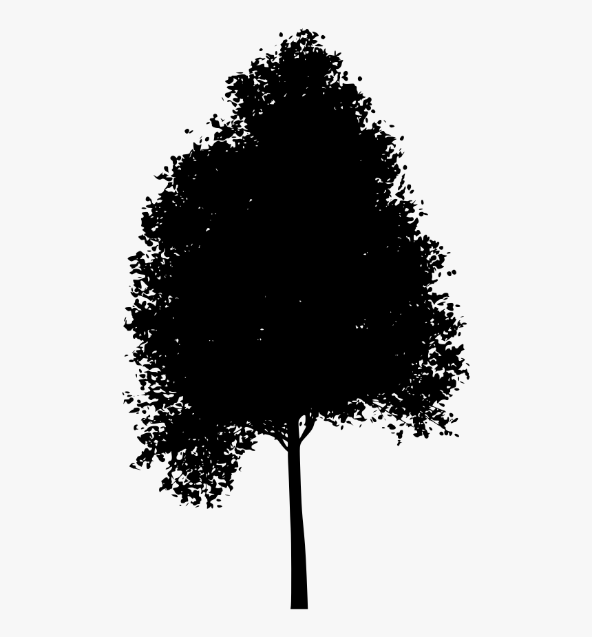Transparent Aspen Tree Png - Aspen Tree Clipart Png, Png Download