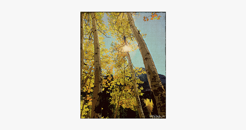 Grove, HD Png Download