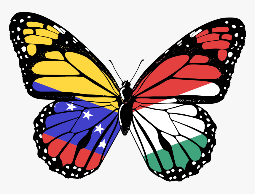 Clip Art Pink Butterfly, HD Png Download