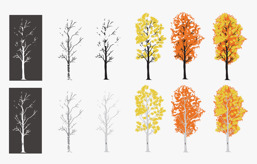 Autumn, HD Png Download