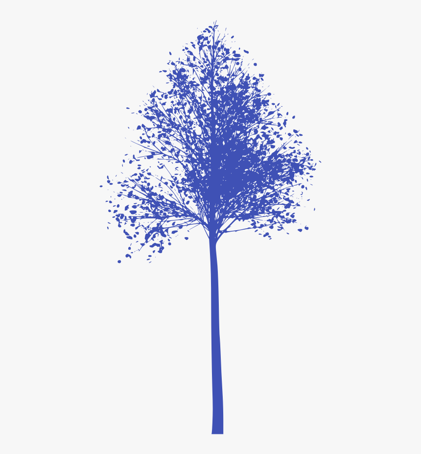 Plane-tree Family, HD Png Download
