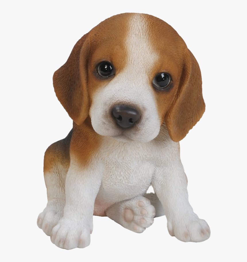 Beagle Png Background Image - Beagle Puppy Png, Transparent Png